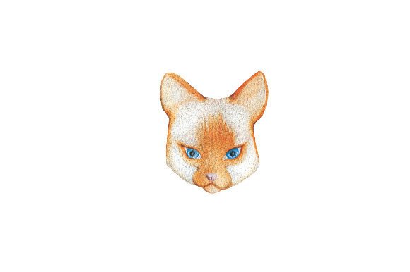 Grumpy Red Point Siamese Cat: A Crafty Watercolor Asset